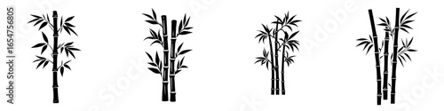 Various styles of bamboo illustrations on a white background showcasing different growth patterns and shapes