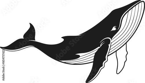 Whale Silhouette Vector Illustration