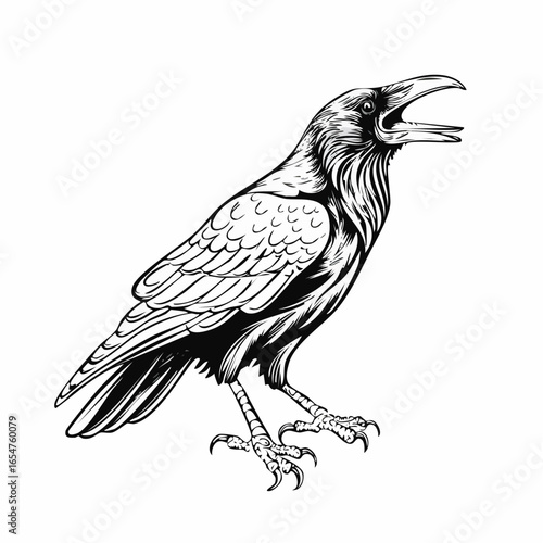 Raven Stands Open Beak Croaks Vector Illustration isolated on white background.