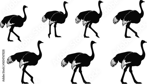 ostrich silhouettes, walking ostrich poses, black bird illustration, large bird vector, animal movement, bird anatomy, wildlife clipart, ostrich legs, long neck, bird silhouette set, 