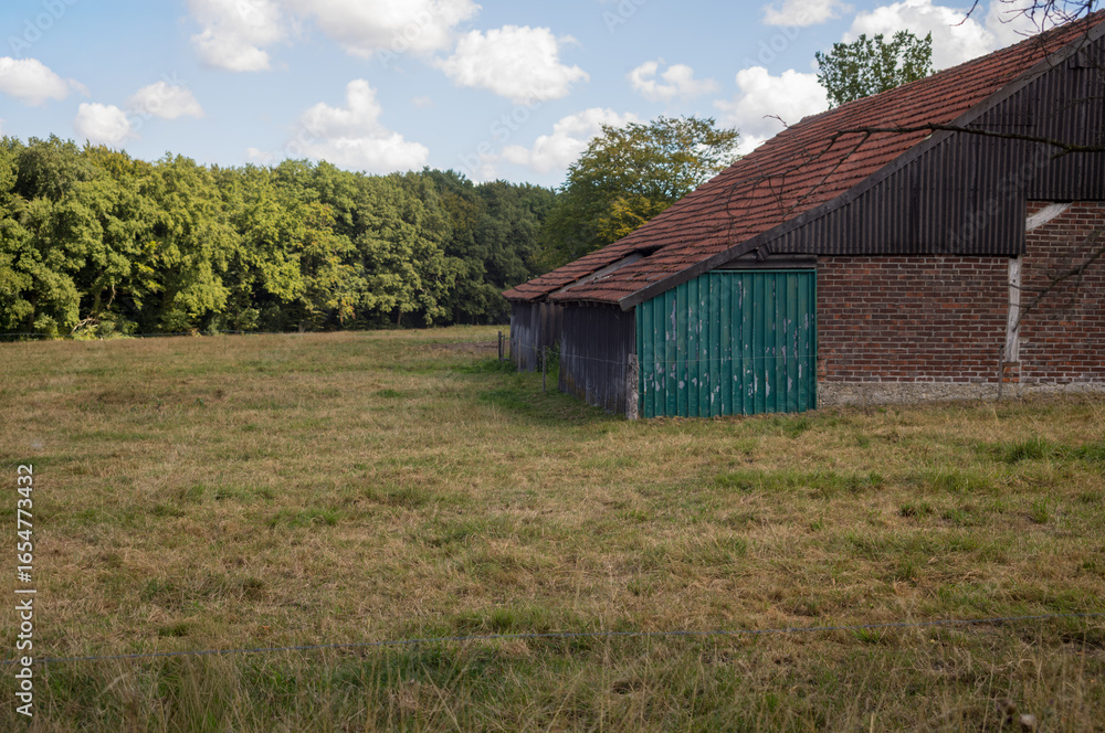 Obraz premium Old barn standing in green field near forest on cloudy day