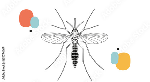 Understanding mosquitoes identifying common species and their behaviors for effective control strategies