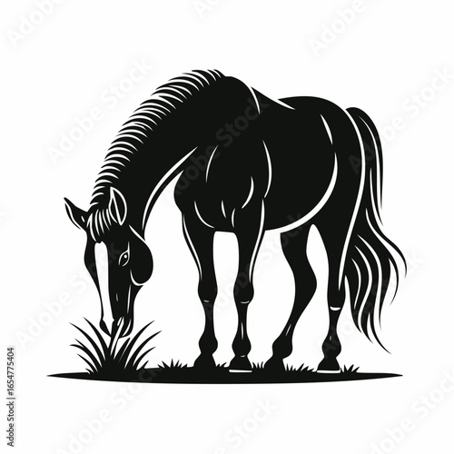 Horse Eating Grass image vector. Horse Eating Grass Stock Illustration on white background.