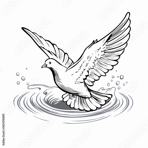 Dove Water Stock Illustrations  image vector on white background.