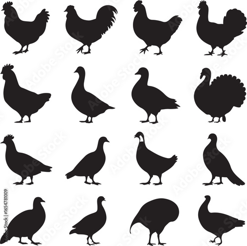 Sixteen black silhouette illustrations of various domestic birds including chickens turkeys and pigeons