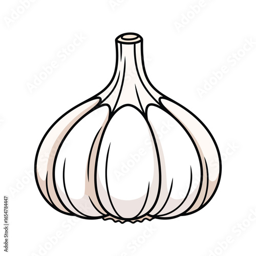 A simple, isolated illustration of a whole garlic bulb, showing detailed cloves.