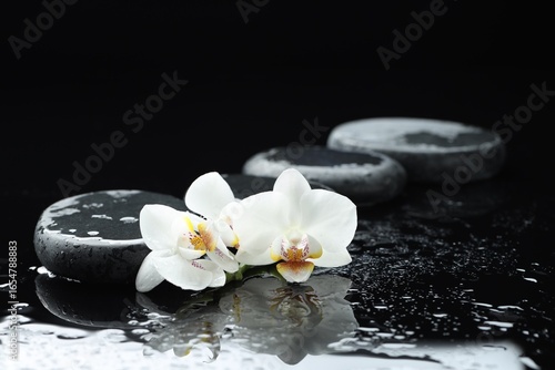 Beautiful orchid flowers and pebble stones on black background with water drops, closeup