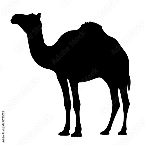 Dromedary silhouette illustration profile view