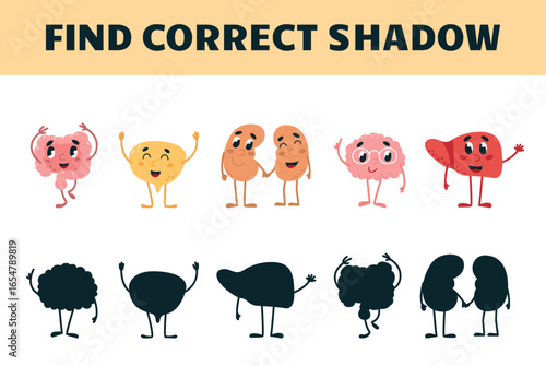 Find correct shadow. Cartoon internal organs and shadows. Children medical educational game. Development kindergarten play template, vector design