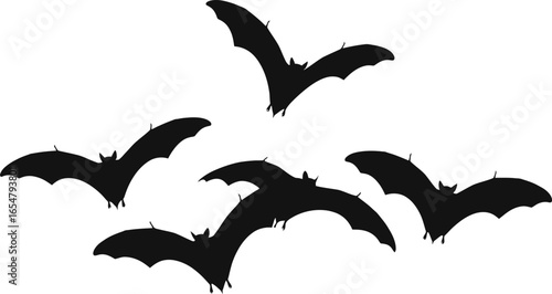 A vector collection of flying black bird silhouettes with wings spread wide