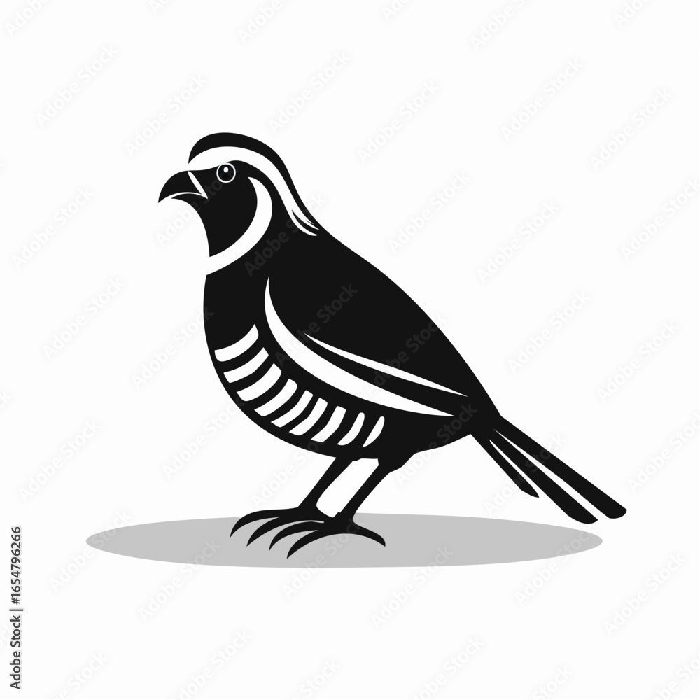 Obraz premium Quail Bird image vector. Black And White Illustration Quail Bird image Isolated On Background