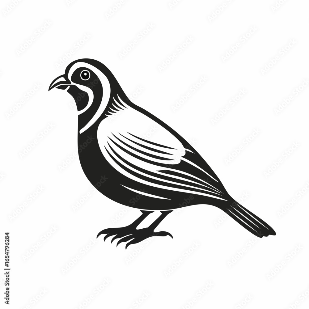 Fototapeta premium Quail Bird image vector. Black And White Illustration Quail Bird image Isolated On Background