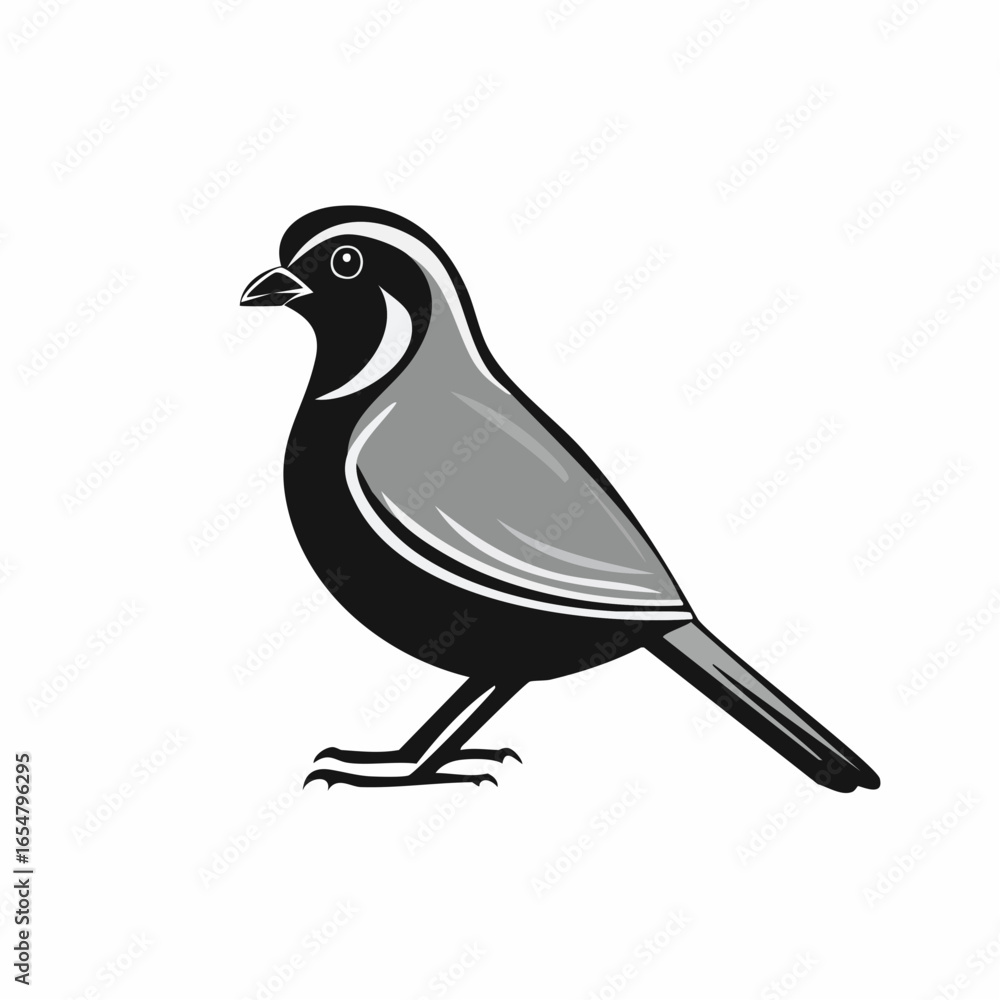 Fototapeta premium Quail Bird image vector. Black And White Illustration Quail Bird image Isolated On Background