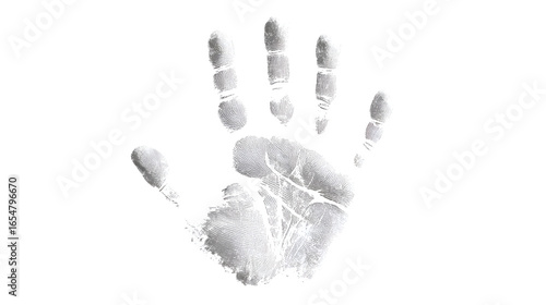 Detailed grayscale handprint showing fingerprints on white background