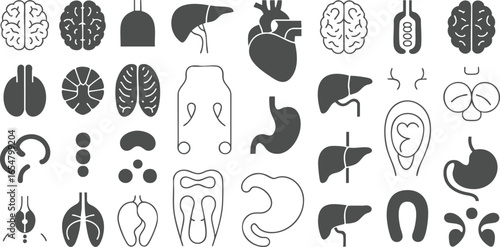 Vector art of collection of human organ icons and anatomical symbols
