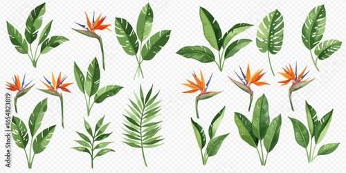 Watercolor illustration featuring a diverse assortment of lush green tropical leaves and colorful Bird of Paradise blossoms.