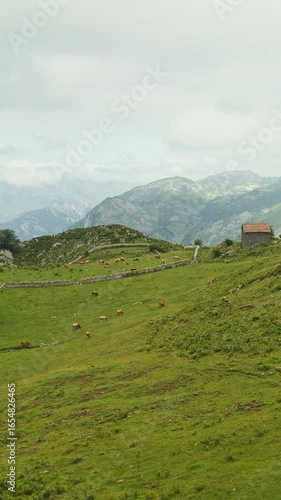 Wallpaper Mural Cows grazing on mountain pasture under cloudy sky Torontodigital.ca