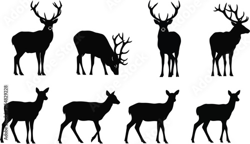 Vector art of collection of silhouetted deer stags and does in various poses isolated on a white background