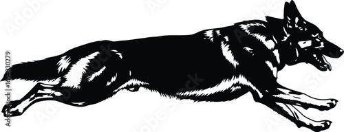 Vector art of german shepherd dog running with its mouth open isolated on white background
