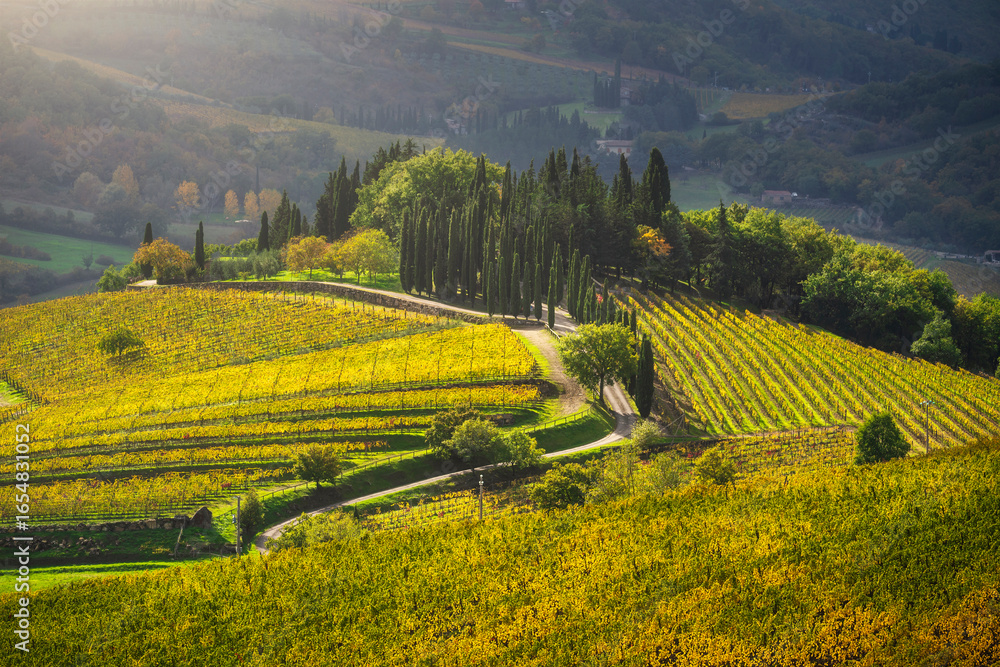 Fototapeta premium Radda in Chianti landscape, vineyards in autumn. Tuscany, Italy
