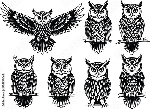 Vector art of collection of owls in various poses, isolated on white background