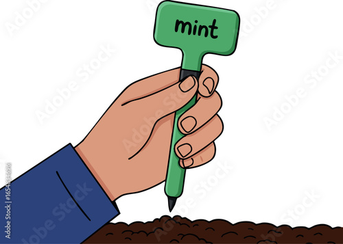 Hand planting mint herb label in soil for gardening and planting concepts vector illustration 