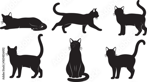 Six Black Cat Silhouettes in Different Poses cats feline