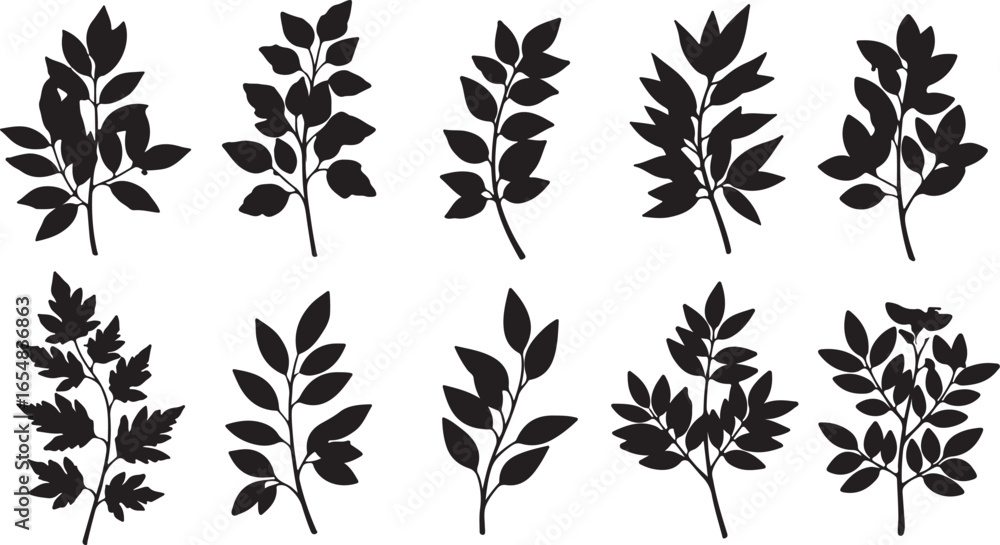 Fototapeta premium Collection of Black Silhouette Branches with Leaves on White Background plant nature