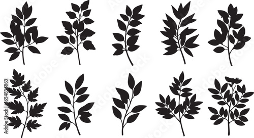 Collection of Black Silhouette Branches with Leaves on White Background plant nature