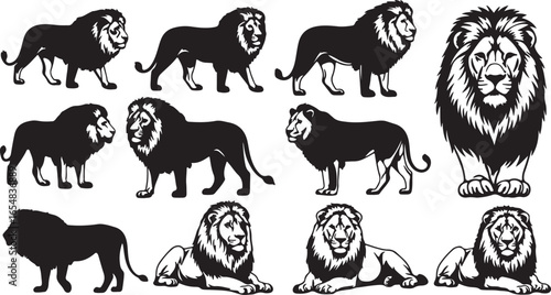 Set of Black Silhouette Lion Poses on White Background lions king