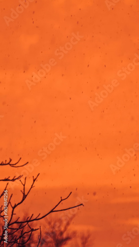 Dark Silhouette Of Bare Tree Branches With Small Buds Against A Glowing Orange Sky, Captured In Tranquil Evening Light.