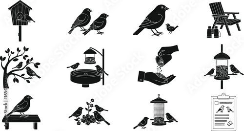 Black and white bird illustrations for nature lovers, birdwatching designs