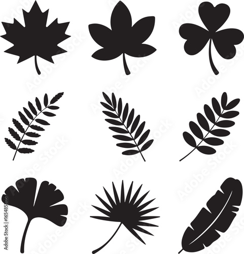 Collection of nine black leaf silhouettes on white background Keywords: leaf, leaves, silhouette