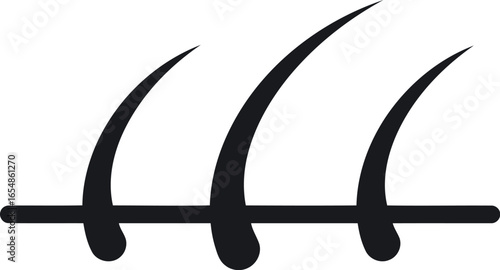 Close up illustration of three healthy black hair strands growing from the scalp symbolizing hair growth and strength