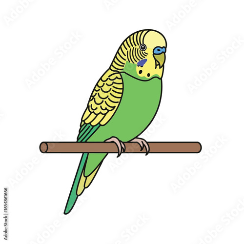 A vibrant illustration of a parakeet perched on a wooden branch, isolated on white.