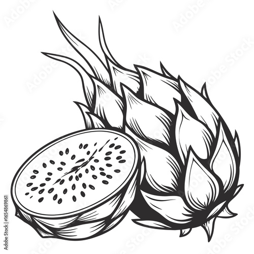 vector illustration of a dragon fruit on white