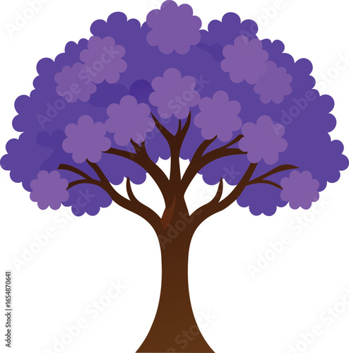 Vibrant purple jacaranda tree in full bloom