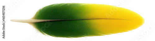 Carolina parakeet wing feather with bright green and yellow coloration