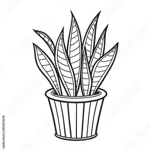 Black and white line drawing of a potted snake plant with striped leaves potted plant