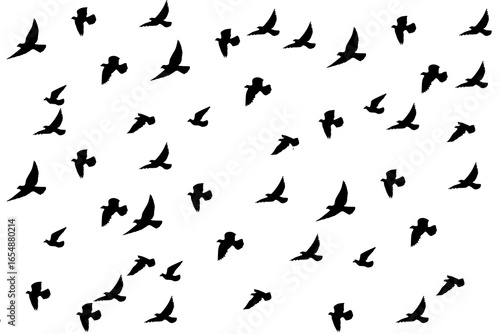 Wallpaper Mural Set of silhouettes of birds, bird's flock set  Torontodigital.ca