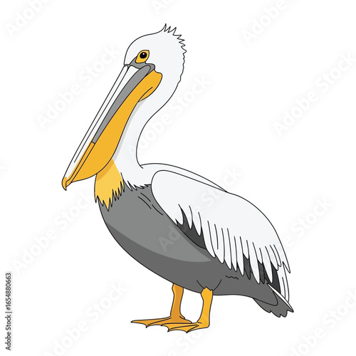 Outlined illustration of a pelican, standing profile view.