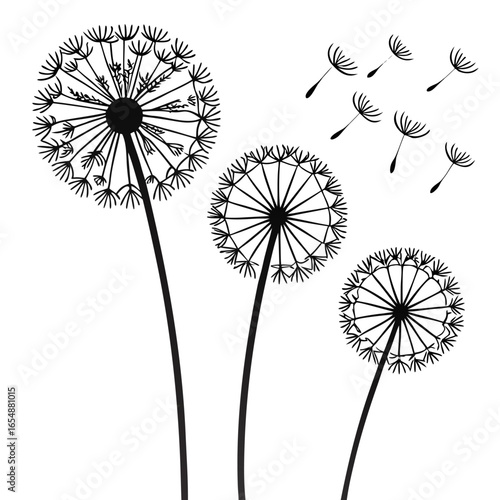 Black silhouette dandelions with seeds blowing in the wind on white background vector