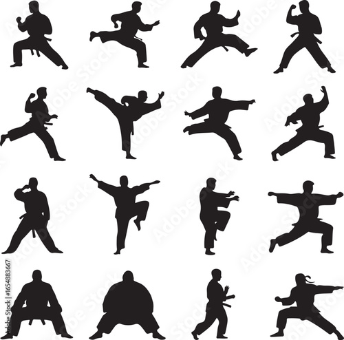 Silhouettes of Karate Fighters Performing Various Martial Arts Poses combat sport