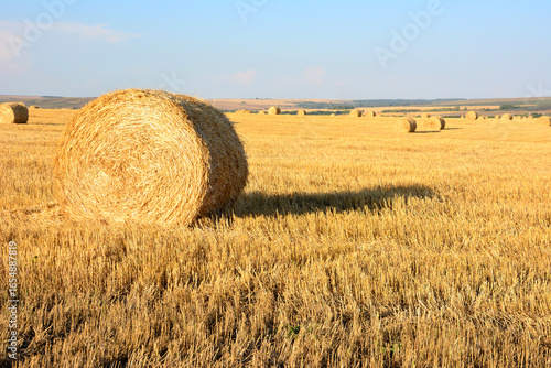 Golden Hay Bales in a Sunny Field wallpaper