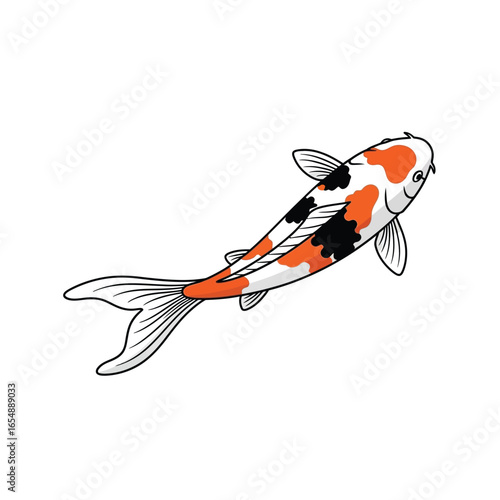Colorful koi fish swimming gracefully against a white background.