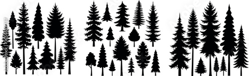 different type of Vintage forest pine trees with ground soil silhouette