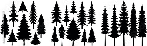 Majestic forest silhouette diverse trees nature scene