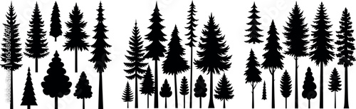 Forest of Christmas fir trees silhouette. Coniferous spruce panorama. Park of evergreen wood. Vector on white background
