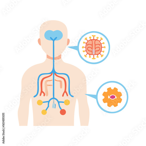 Human body illustration showing viral infection and immune response