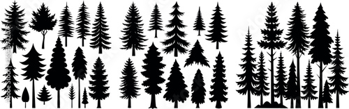 Majestic forest silhouette diverse trees nature scene